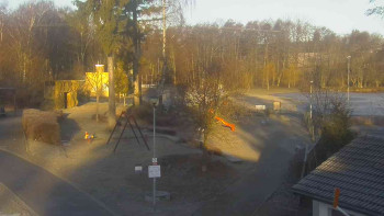 Ski klub RD Rýmařov