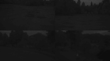 Snímek    11.5.2025 v 04:30