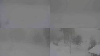 Ski klub RD Rýmařov