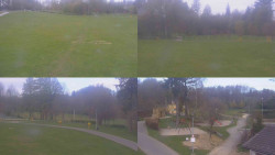 Sdružený snímek