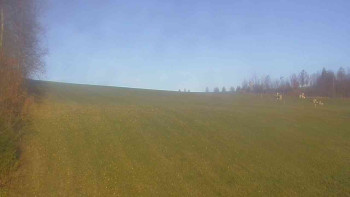 Snímek    31.10.2025 v 08:00