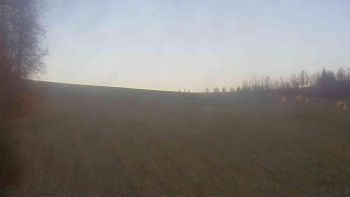 Snímek    4.11.2025 v 07:00