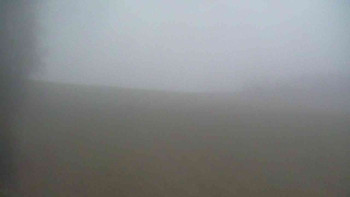 Snímek 17.11.2025 v 07:00