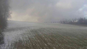 Snímek 18.11.2025 v 14:00