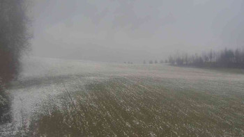 Snímek 19.11.2025 v 12:00