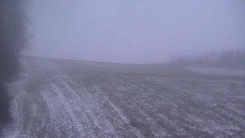 Snímek    24.11.2025 v 07:00