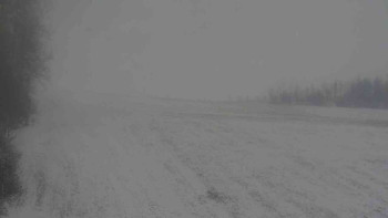 Snímek    24.11.2025 v 09:30