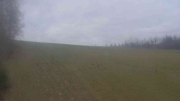 Klub biatlonu Břidličná