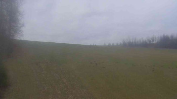 Klub biatlonu Břidličná