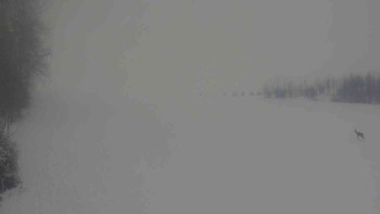 Klub biatlonu Břidličná