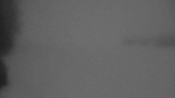 Klub biatlonu Břidličná