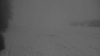 Klub biatlonu Břidličná