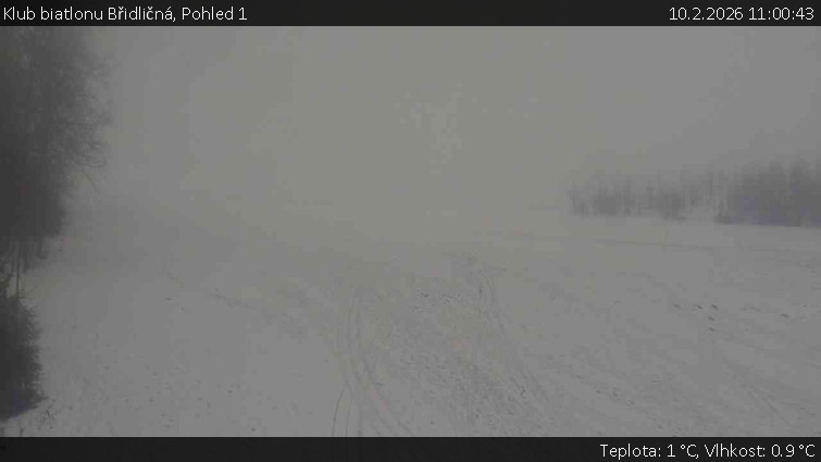 Klub biatlonu Břidličná - Pohled 1 - 10.2.2026 v 11:00