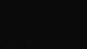 Klub biatlonu Břidličná - Pohled 1 - 15.3.2026 v 01:00 Klub biatlonu Břidličná - Pohled 1 - 15.3.2026 v 01:00