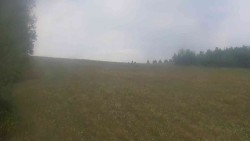 View 1