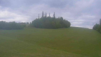 Snímek    10.5.2025 v 14:00