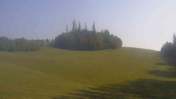 Snímek    12.5.2025 v 08:00