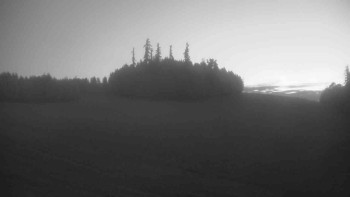Snímek    13.5.2025 v 04:30