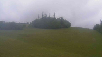 Snímek    15.5.2025 v 09:30