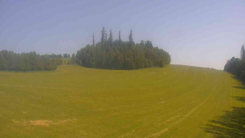 Snímek    15.6.2025 v 10:00