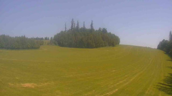 Snímek    15.6.2025 v 11:00