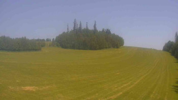 Snímek    15.6.2025 v 12:00