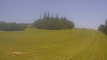 Snímek    15.6.2025 v 13:30