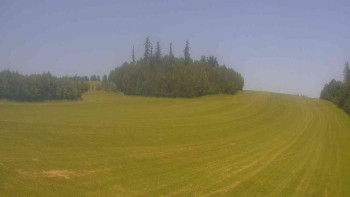 Snímek    15.6.2025 v 14:00