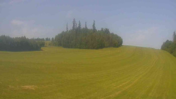 Snímek    15.6.2025 v 15:30