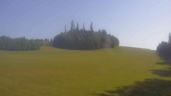 Snímek    1.7.2025 v 08:00