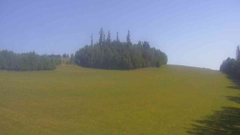 Snímek    1.7.2025 v 09:30