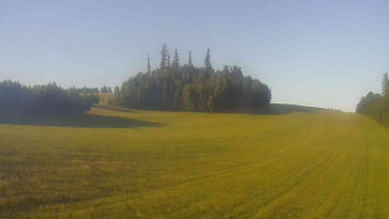 Snímek    1.7.2025 v 19:00