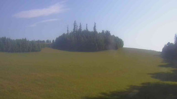Snímek    3.7.2025 v 07:30