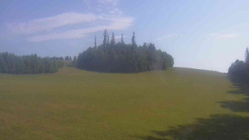 Snímek    3.7.2025 v 08:00