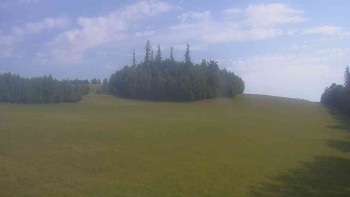 Snímek    3.7.2025 v 09:00