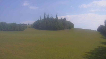 Snímek    3.7.2025 v 09:30