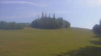 Snímek    5.7.2025 v 08:00