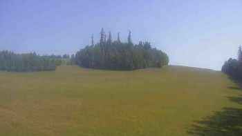 Snímek    5.7.2025 v 09:30
