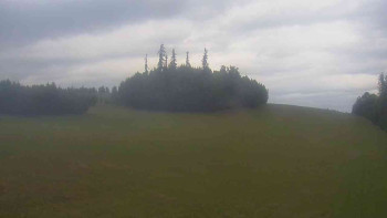 Snímek    7.7.2025 v 08:30