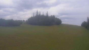 Snímek    7.7.2025 v 09:00