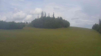 Snímek    12.7.2025 v 14:00