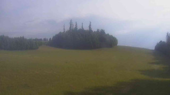 Snímek    13.7.2025 v 07:30