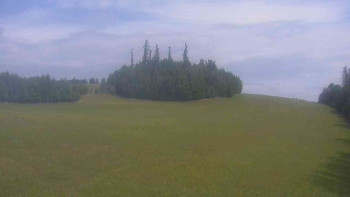 Snímek    13.7.2025 v 11:00