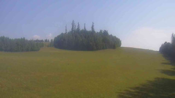 Snímek    14.7.2025 v 09:00