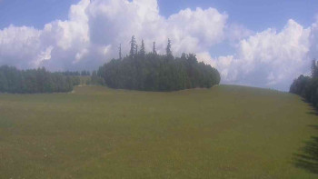 Snímek    14.7.2025 v 11:30