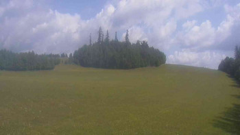Snímek    16.7.2025 v 11:00