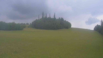 Snímek    17.7.2025 v 10:30