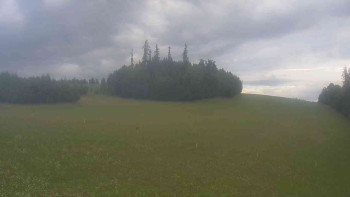 Snímek    31.7.2025 v 06:30