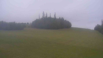 Snímek    18.9.2025 v 13:30