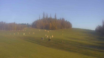 Snímek    31.10.2025 v 08:31